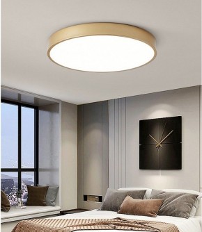 Накладной светильник TopDecor Union Union P2 33 в Александровском - alexsandrovskoe.ok-mebel.com | фото 3