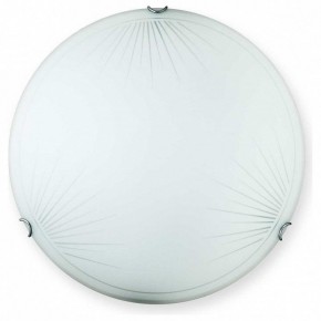 Накладной светильник TopLight Wifa TL9142Y-00WH в Александровском - alexsandrovskoe.ok-mebel.com | фото