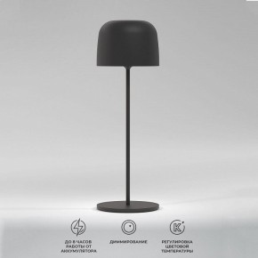 Настольная лампа декоративная Elektrostandard Bitty a069002 в Александровском - alexsandrovskoe.ok-mebel.com | фото 2