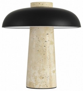 Настольная лампа декоративная ST-Luce Earthy SL1194.424.01 в Александровском - alexsandrovskoe.ok-mebel.com | фото