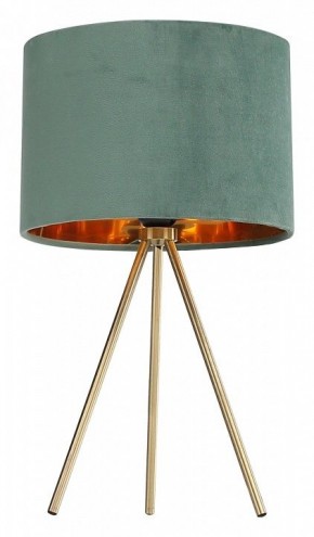 Настольная лампа декоративная ST-Luce FUEGO SL6242.704.01 в Александровском - alexsandrovskoe.ok-mebel.com | фото