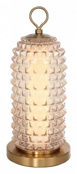 Настольная лампа декоративная ST-Luce SAGUARO SL6144.304.01 в Александровском - alexsandrovskoe.ok-mebel.com | фото 2
