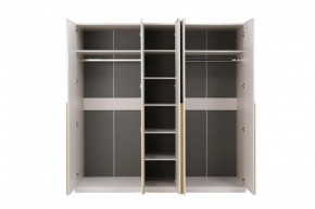 НИКОЛЬ 25 Шкаф 5-ти створчатый в Александровском - alexsandrovskoe.ok-mebel.com | фото 3
