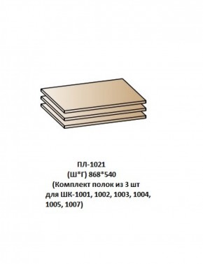ПЛ-1021 (Комплект полок из 3 шт для ШК-1001, 1002, 1003, 1004, 1005, 1007) в Александровском - alexsandrovskoe.ok-mebel.com | фото