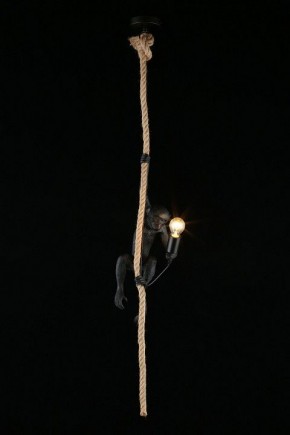 Подвесной светильник Aployt Magali APL.309.16.01 в Александровском - alexsandrovskoe.ok-mebel.com | фото 3
