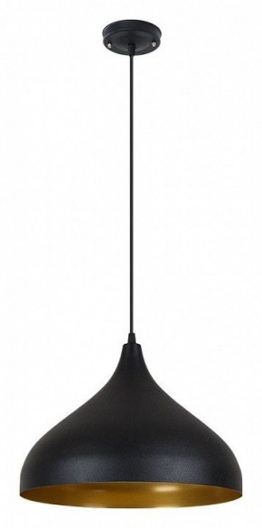 Подвесной светильник Arte Lamp Carmel A7076SP-1BK в Александровском - alexsandrovskoe.ok-mebel.com | фото 2