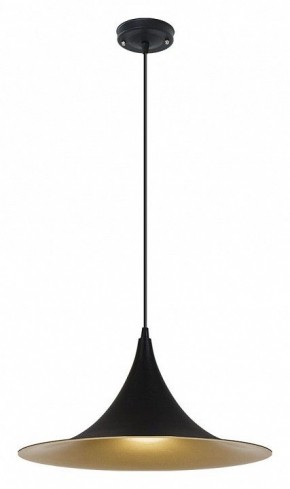 Подвесной светильник Arte Lamp Carmel A7080SP-1BK в Александровском - alexsandrovskoe.ok-mebel.com | фото 2
