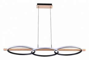 Подвесной светильник Arte Lamp Fluido A3913SP-24BK в Александровском - alexsandrovskoe.ok-mebel.com | фото 2
