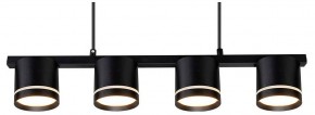 Подвесной светильник Arte Lamp Legacy A8024SP-4BK в Александровском - alexsandrovskoe.ok-mebel.com | фото