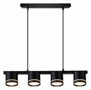 Подвесной светильник Arte Lamp Legacy A8024SP-4BK в Александровском - alexsandrovskoe.ok-mebel.com | фото 2