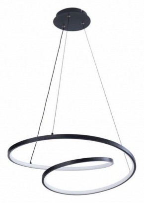 Подвесной светильник Arte Lamp Millo A3893SP-30BK в Александровском - alexsandrovskoe.ok-mebel.com | фото 2