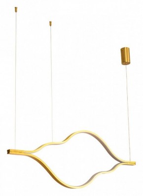 Подвесной светильник Arte Lamp Odyssey A2911SP-31GO в Александровском - alexsandrovskoe.ok-mebel.com | фото 2