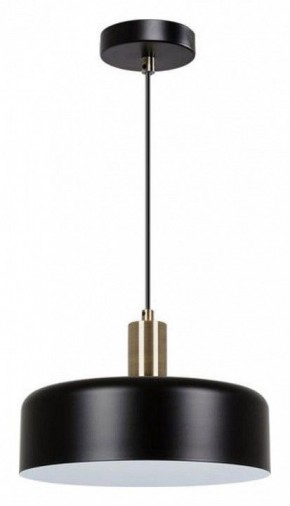 Подвесной светильник Arte Lamp Skat A7052SP-1BK в Александровском - alexsandrovskoe.ok-mebel.com | фото