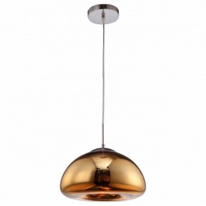 Подвесной светильник Arte Lamp Swift A8041SP-1GO в Александровском - alexsandrovskoe.ok-mebel.com | фото 2