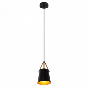 Подвесной светильник Arte Lamp Thomas A7032SP-1BK в Александровском - alexsandrovskoe.ok-mebel.com | фото 3
