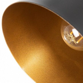 Подвесной светильник Arte Lamp Thomas A7032SP-1BK в Александровском - alexsandrovskoe.ok-mebel.com | фото 5