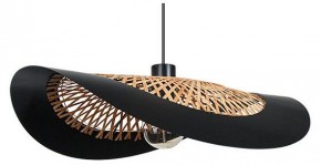 Подвесной светильник Arte Lamp Woodstock A7059SP-1BK в Александровском - alexsandrovskoe.ok-mebel.com | фото