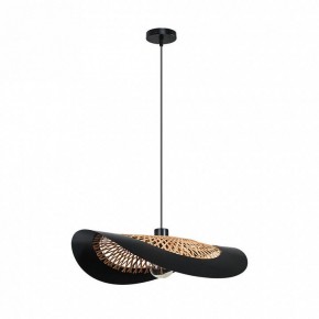 Подвесной светильник Arte Lamp Woodstock A7059SP-1BK в Александровском - alexsandrovskoe.ok-mebel.com | фото 2
