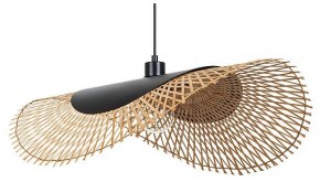 Подвесной светильник Arte Lamp Woodstock A7063SP-1BK в Александровском - alexsandrovskoe.ok-mebel.com | фото