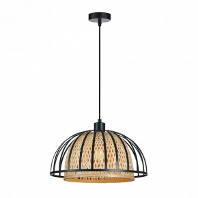 Подвесной светильник Arte Lamp Woodstock A7071SP-1BK в Александровском - alexsandrovskoe.ok-mebel.com | фото