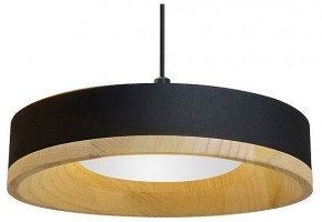 Подвесной светильник Divinare Vaso 5119/06 SP-12 в Александровском - alexsandrovskoe.ok-mebel.com | фото