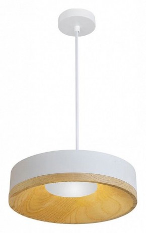 Подвесной светильник Divinare Vaso 5119/33 SP-8 в Александровском - alexsandrovskoe.ok-mebel.com | фото 2