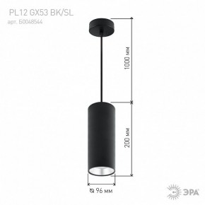 Подвесной светильник Эра  PL12 GX53 BK/SL в Александровском - alexsandrovskoe.ok-mebel.com | фото 8