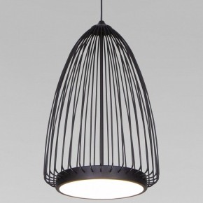Подвесной светильник Eurosvet Comodita 40009/1 LED черный в Александровском - alexsandrovskoe.ok-mebel.com | фото