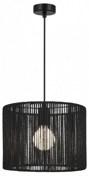 Подвесной светильник EVOLUCE ETTAN SLE6024-403-01 в Александровском - alexsandrovskoe.ok-mebel.com | фото 2