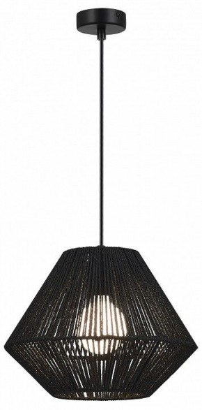 Подвесной светильник EVOLUCE ETTAN SLE6025-403-01 в Александровском - alexsandrovskoe.ok-mebel.com | фото 2