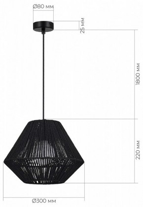 Подвесной светильник EVOLUCE ETTAN SLE6025-403-01 в Александровском - alexsandrovskoe.ok-mebel.com | фото 5