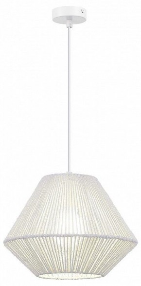 Подвесной светильник EVOLUCE ETTAN SLE6025-503-01 в Александровском - alexsandrovskoe.ok-mebel.com | фото