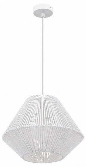 Подвесной светильник EVOLUCE ETTAN SLE6025-503-01 в Александровском - alexsandrovskoe.ok-mebel.com | фото 3