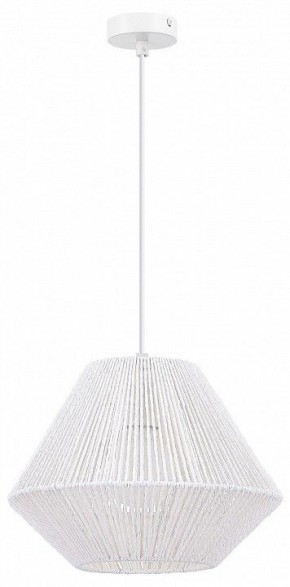 Подвесной светильник EVOLUCE ETTAN SLE6025-503-01 в Александровском - alexsandrovskoe.ok-mebel.com | фото 4