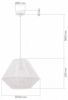 Подвесной светильник EVOLUCE ETTAN SLE6025-503-01 в Александровском - alexsandrovskoe.ok-mebel.com | фото 6