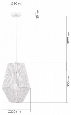 Подвесной светильник EVOLUCE ETTAN SLE6025-513-01 в Александровском - alexsandrovskoe.ok-mebel.com | фото 6