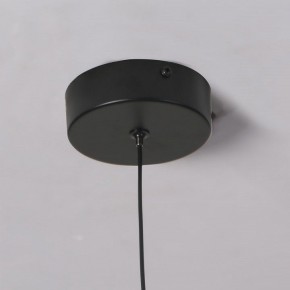 Подвесной светильник Favourite Wilet 4656-1P в Александровском - alexsandrovskoe.ok-mebel.com | фото 10