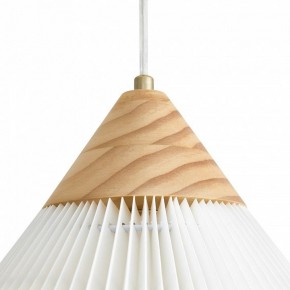 Подвесной светильник Freya Kinsley FR5533PL-01BS в Александровском - alexsandrovskoe.ok-mebel.com | фото 8