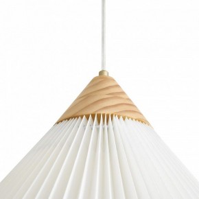 Подвесной светильник Freya Kinsley FR5533PL-01BS1 в Александровском - alexsandrovskoe.ok-mebel.com | фото 8
