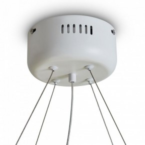Подвесной светильник Freya Rain FR5546PL-L60W в Александровском - alexsandrovskoe.ok-mebel.com | фото 9