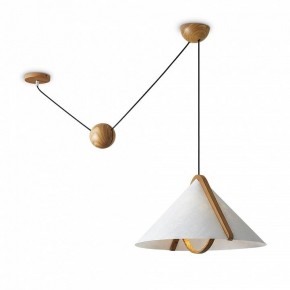 Подвесной светильник Freya Umbra FR5554CL-01T в Александровском - alexsandrovskoe.ok-mebel.com | фото 2