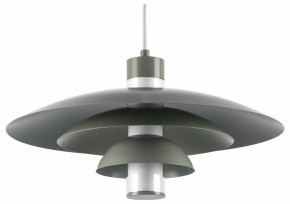 Подвесной светильник Lightstar Erbareo 799019 в Александровском - alexsandrovskoe.ok-mebel.com | фото