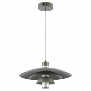 Подвесной светильник Lightstar Erbareo 799019 в Александровском - alexsandrovskoe.ok-mebel.com | фото 2