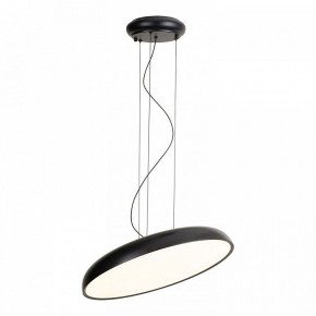 Подвесной светильник Lussole Crook LSP-7360 в Александровском - alexsandrovskoe.ok-mebel.com | фото 2