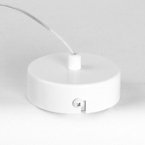 Подвесной светильник Lussole Gregg LSP-8965 в Александровском - alexsandrovskoe.ok-mebel.com | фото 6