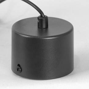 Подвесной светильник Lussole Milam LSP-7450 в Александровском - alexsandrovskoe.ok-mebel.com | фото 7