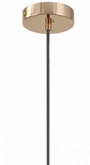 Подвесной светильник Moderli Charm V11176-1P в Александровском - alexsandrovskoe.ok-mebel.com | фото 8