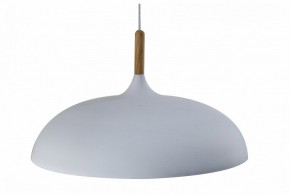 Подвесной светильник Moderli Hygo V11447-1P в Александровском - alexsandrovskoe.ok-mebel.com | фото