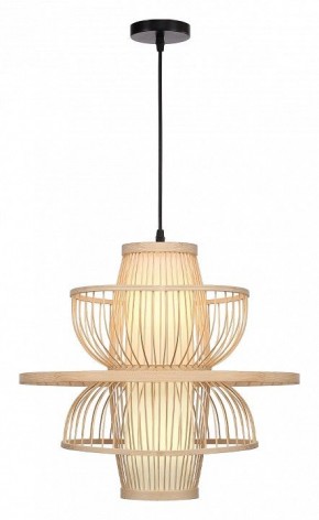Подвесной светильник ST-Luce ALMA SL6241.513.01 в Александровском - alexsandrovskoe.ok-mebel.com | фото 2