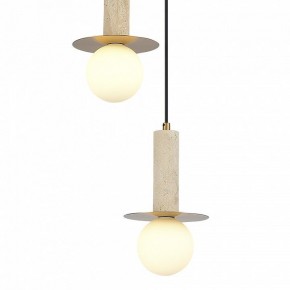 Подвесной светильник ST-Luce Earthy SL1194.303.03 в Александровском - alexsandrovskoe.ok-mebel.com | фото 4